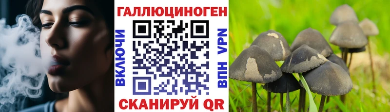 что такое   гидра сайт  Псилоцибиновые грибы Cubensis  Нарьян-Мар 